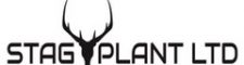 Stag Plant